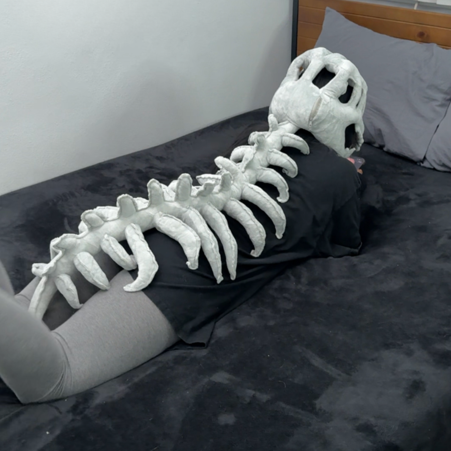 Dino Plushie
